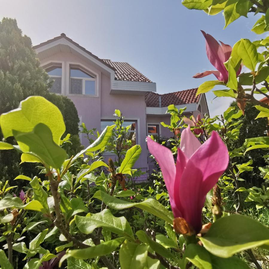 Vila Angela Felix Hotel Sinmartin  Luaran gambar